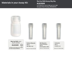 Montana Molecular&nbsp;Red Up DAG Assay - 15mL