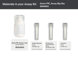 Montana Molecular Green PIP2 Assay Big Sky - 5mL