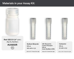 Montana Molecular&nbsp;R-GECO Calcium Assay - 15mL