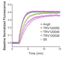 Montana Molecular&nbsp;AT1R Arrestin Assay - 30mL