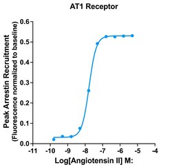 Montana Molecular&nbsp;AT1R Arrestin Assay - 60mL
