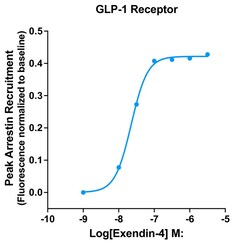 Montana Molecular&nbsp;GLP-1R Arrestin Assay - 60mL