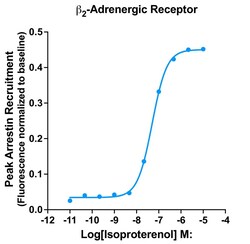 Montana Molecular&nbsp;B2AR Arrestin Assay - 60mL