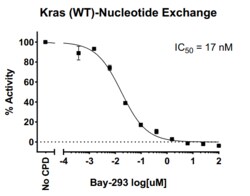 AURORA BIOLABS LLC Kras WT Activity Assay