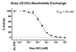 AURORA BIOLABS LLC&nbsp;Kras G12C Activity Assay, 384 rxn
