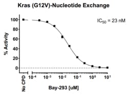 AURORA BIOLABS LLC&nbsp;Kras G12V Activity Assay, 384 rxn