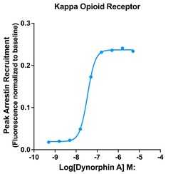 Montana Molecular&nbsp;KOR Arrestin Assay - 60mL
