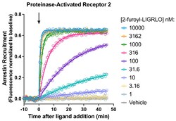 Montana Molecular&nbsp;PAR2 Arrestin Assay - 30mL