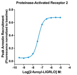 Montana Molecular&nbsp;PAR2 Arrestin Assay - 60mL