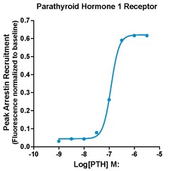 Montana Molecular&nbsp;PTH1R Arrestin Assay - 60mL