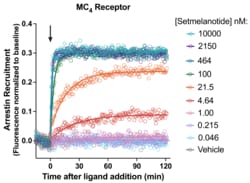 Montana Molecular&nbsp;MC4R Arrestin Assay - 30mL