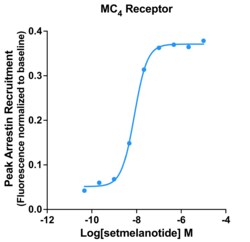 Montana Molecular&nbsp;MC4R Arrestin Assay - 60mL