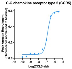 Montana Molecular&nbsp;CCR5 Arrestin Assay - 60mL