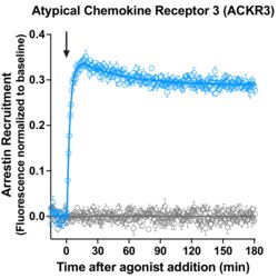 Montana Molecular&nbsp;ACKR3 Arrestin Assay - 10mL