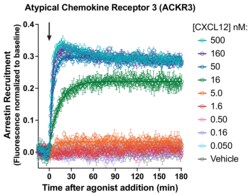 Montana Molecular&nbsp;ACKR3 Arrestin Assay - 30mL