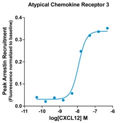 Montana Molecular&nbsp;ACKR3 Arrestin Assay - 60mL