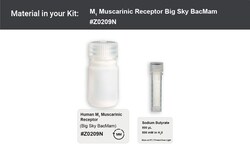 Montana Molecular CHRM1 Big Sky BacMam 15mL