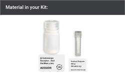 Montana Molecular ADRB2 Red BacMam 30mL