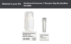 Montana Molecular PTH1R Big Sky BacMam 15mL