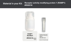RAMP1 Expression Kit - Big Sky BacMam, 5mL - Montana Molecular