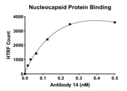 AURORA BIOLABS LLC&nbsp;Cov-19 NP Mouse Binding Assay, 384 rxn