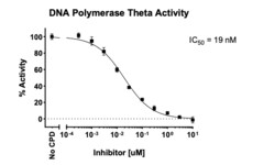 AURORA BIOLABS LLC&nbsp;DNA Pol Theta Activity Assay, 384 rxn