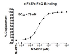 AURORA BIOLABS LLC&nbsp;eIF4E/eIF4G Binding Assay, 384 rxn