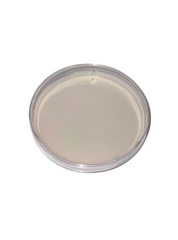LAB ALLEY&nbsp;Plain Agar Plates
