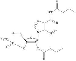 FOCUS BIOMOLECULES Biochemical Reagents, Dibutyryl-cAMP, Cell permeable cAMP, CAS 16980-89-5, 98% by HPLC/NMR (conforms)