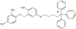 FOCUS BIOMOLECULES&nbsp;Biochemical Reagents, Mito-Photo-DNP, Mitochondria specific, photo-activated protonophore, CAS Unknown, 98% by TLC/NMR (Conforms)