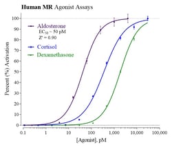 Indigo Biosciences&nbsp;Human MR Reporter Assay Kit, 1 x-96 well format assays