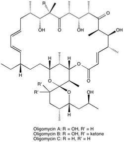 FOCUS BIOMOLECULES&nbsp;Biochemical Reagents, Oligomycin complex, Mitochondrial ATPase inhibitor, CAS 1404-19-9, Mixture of Oligomycin A (67.5%) B (19.4%) and C (9.8%)/97%  by TLC/NMR: (Conforms)
