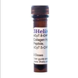 3HELIX&nbsp;sCy7.5-CHP (Collagen Hybridizing Peptide, sCy7.5 Conjugate, 8nmole (INVIVOTGT)