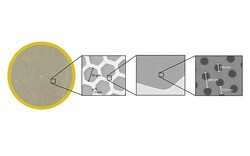 Electron Microscopy Sciences&nbsp;HexAuFoil is a new all-gold cryo-EM sample support technology that enables movement-free imaging to increase data quality and speed in SBDD and research.