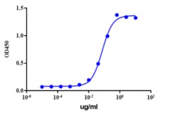 ICHORBIO LTD&nbsp;Dacetuzumab Biosimilar - Research Grade