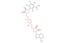 eMolecules​&nbsp;Beta-nicotinamide adenine dinucleotide | 53-84-9 | 0.5 MG