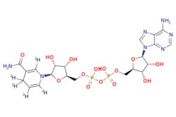 eMolecules​&nbsp;Beta-NADH-d4 (d4 major) diammonium salt | 58-68-4 | 94.0% | 0.25 MG