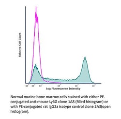 Bio X Cell&nbsp;InVivoMAb Anti-Mouse Ly6G (Clone 1A8), Rat IgG2a, κ - 1 mg