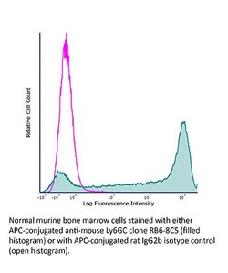 Bio X Cell&nbsp;Antibody, Ly6G/Ly6C, Clone RB6-8C5, Rat, 50 MG