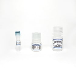 TRIBIOSCIENCE INC&nbsp;TransReagent (Transfection Reagent) Maxi, 1 ML