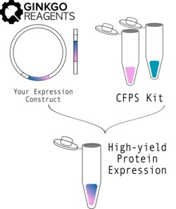 GINKGO BIOWORKS INC (3P)&nbsp;Cell Free Protein Synthesis (E. coli): 100 mL