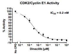 AURORA BIOLABS LLC&nbsp;CDK2/CyclinE1 Kinase Assay Kit, 384 rxn