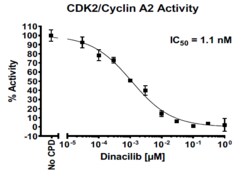 AURORA BIOLABS LLC&nbsp;CDK2/CyclinA2 Kinase Assay Kit, 384 rxn