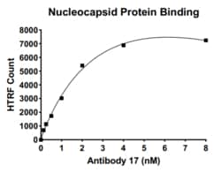 AURORA BIOLABS LLC&nbsp;SARS-CoV-2 Nucleocapsid Protein Binding Kit (For rabbit antibody), 384 rxn