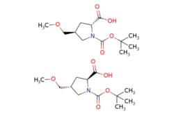 eMolecules​&nbsp;2514752-91-9 | trans-1-Boc-4-(methoxymethyl)pyrrolidine-2-carboxylic Acid | Accela ChemBio518.604 | C24H42N2O10 | 95.000 | COC[C@H]1C[C@@H](N(C1)C(=O)OC(C)(C)C)C(O)=O.COC[C@@H]1C[C@H](N(C1)C(=O)OC(C)(C)C)C(O)=O | 0.25g | 844703815