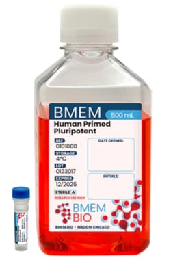 BMEM BIO&nbsp;Human Primed Pluripotent Media