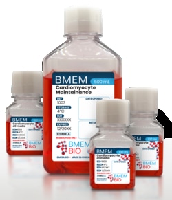 BMEM BIO&nbsp;Protein-Free Cardiomyocyte Differentiation Kit