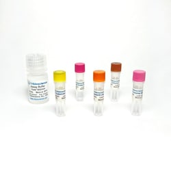 TRIBIOSCIENCE INC&nbsp;Hexokinase Activity Fluorometric Assay 100 Tests
