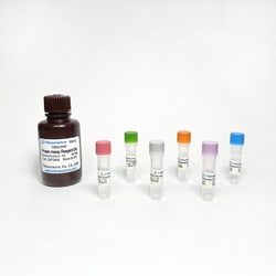 TRIBIOSCIENCE INC&nbsp;Protein Assay Kit 1000 Tests