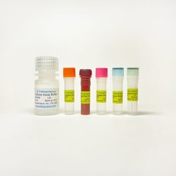 TRIBIOSCIENCE INC Catalase Assay 100 Tests, Quantity: Each of 1